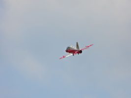 DSCN2511
