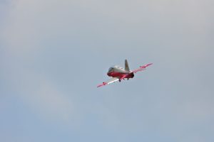 DSCN2511
